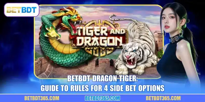 BETBDT Dragon Tiger: Guide To Rules For 4 Side Bet Options