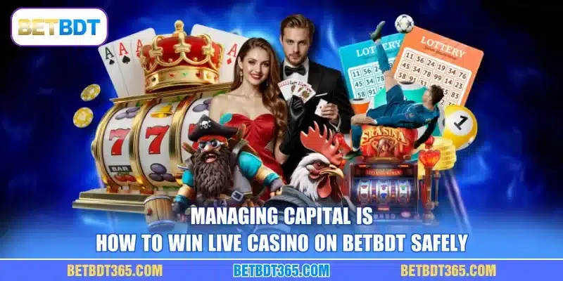 Managing capital is how to win live casino on BETBDT safely
